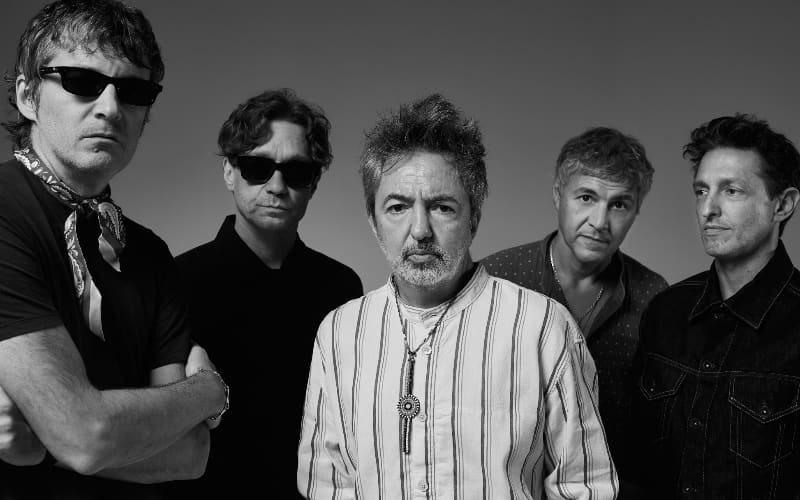 Promotional photo of Babasónicos