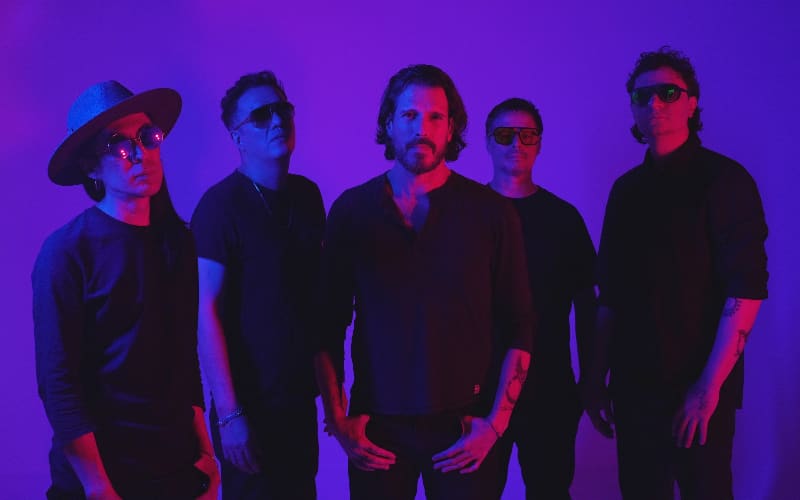 Promotional photo of DLD